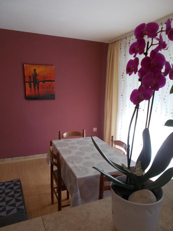 Apartments Sara Labin  Exterior foto
