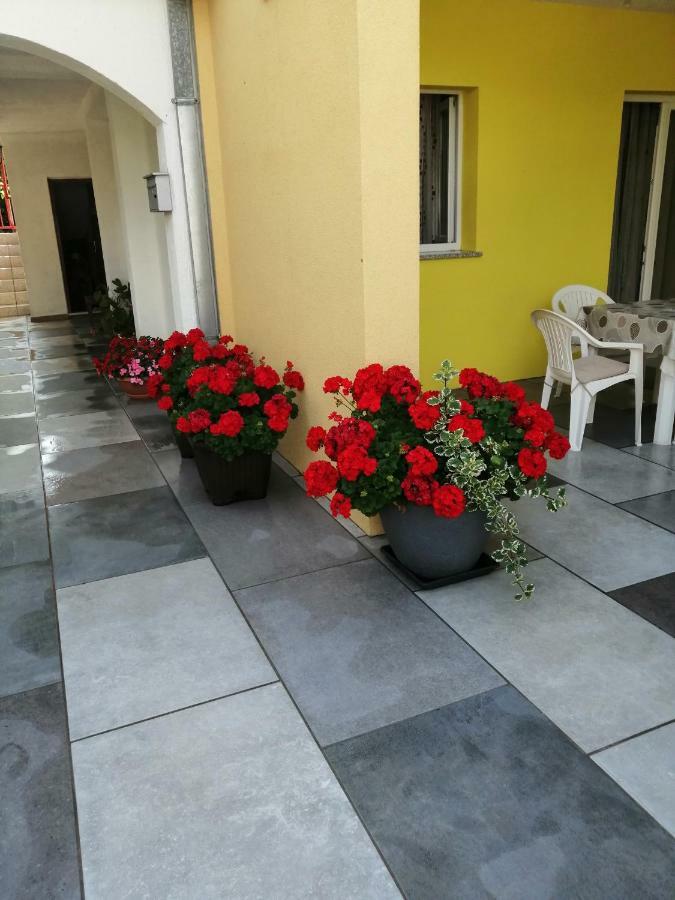 Apartments Sara Labin  Exterior foto